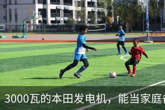 3000瓦的本田发电机，能当家庭备电用吗？